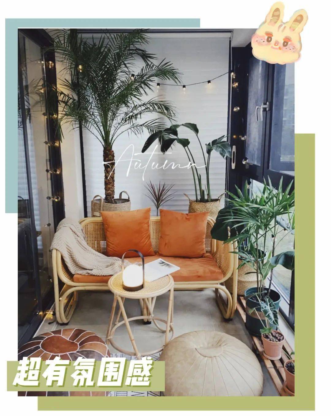 文章配图-27