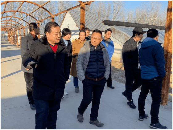 集团吴玉杰副董事长陪同涿州市政府领导参观考察北京分享收获农场