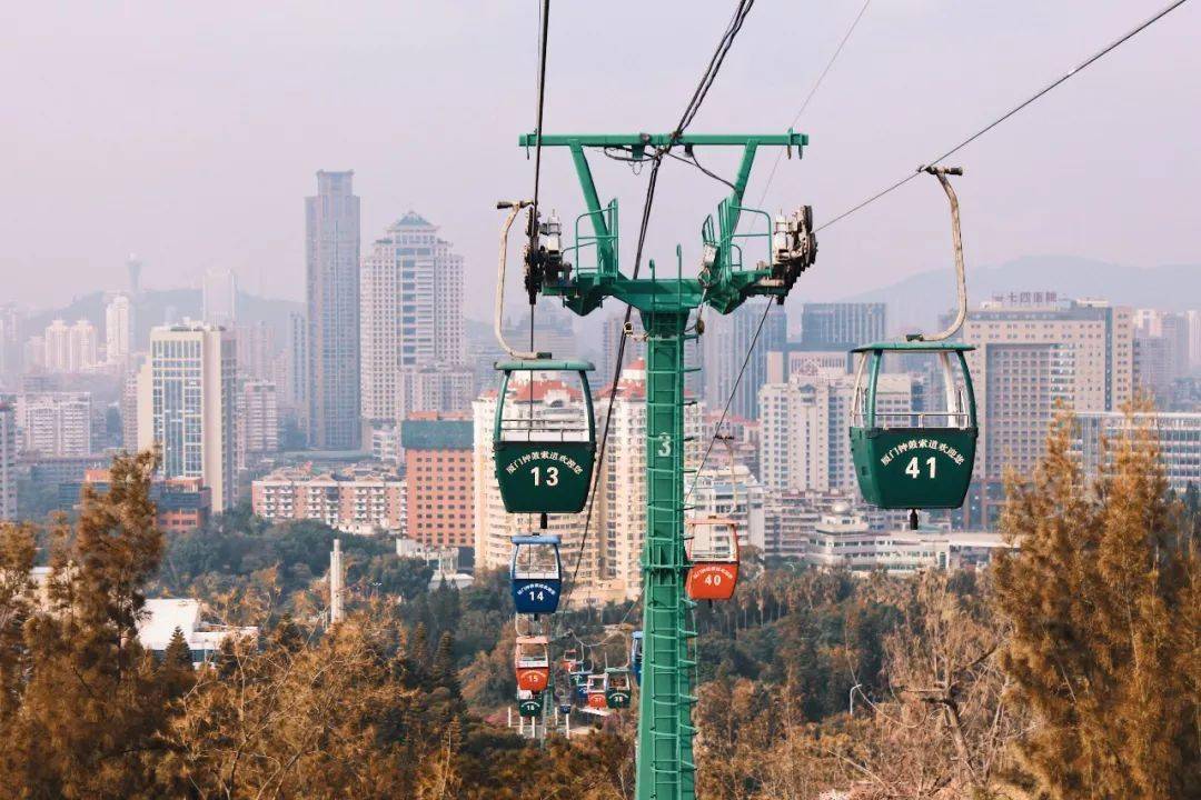 厦门|去二市旁的花鸟市场、去南湖公园捡一片落叶、去八市...来厦门必做的33件小事，少一件都不完美！