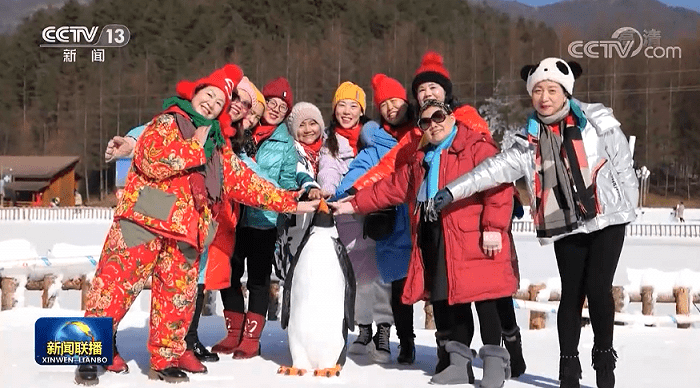 阳新县|多姿多彩欢度元旦假期