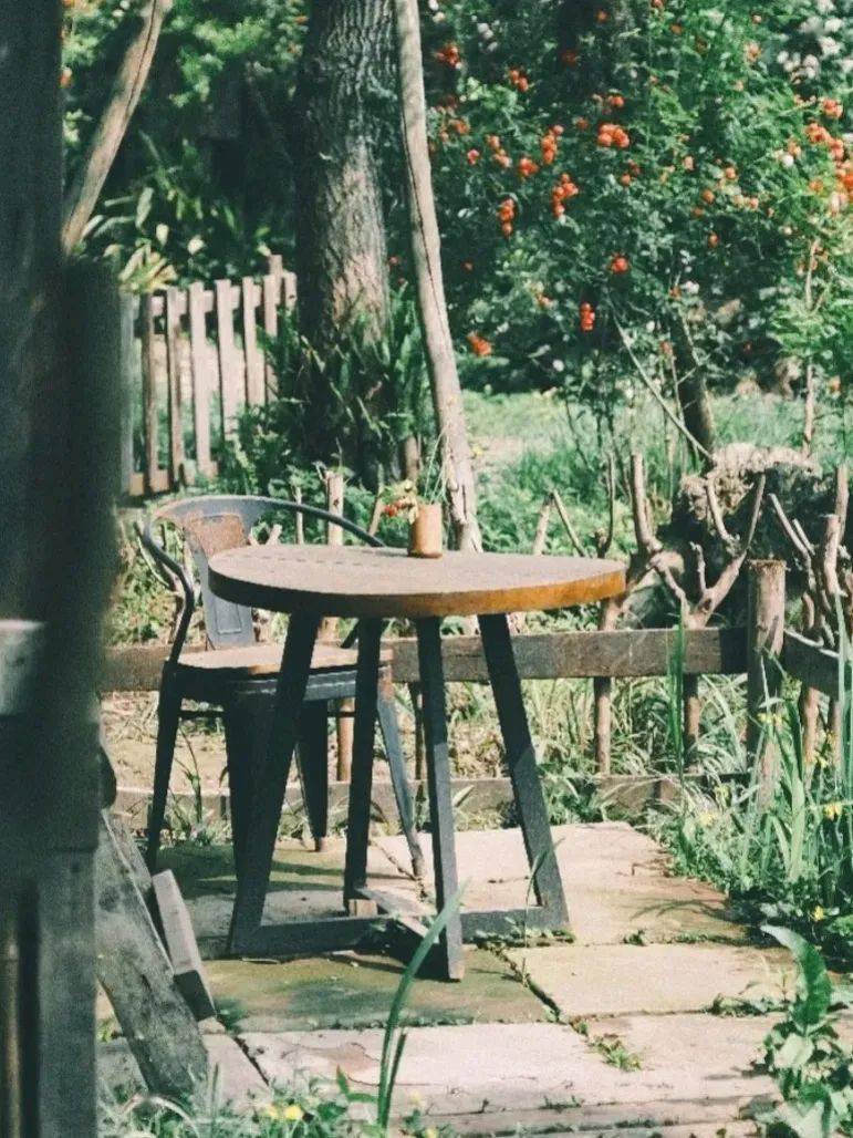 树上小屋品牌介绍 f2b8ea3526c349b2a10ef734175f5f95.jpeg