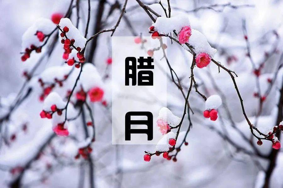 21ff17cf408a42d78565583324305606.jpeg