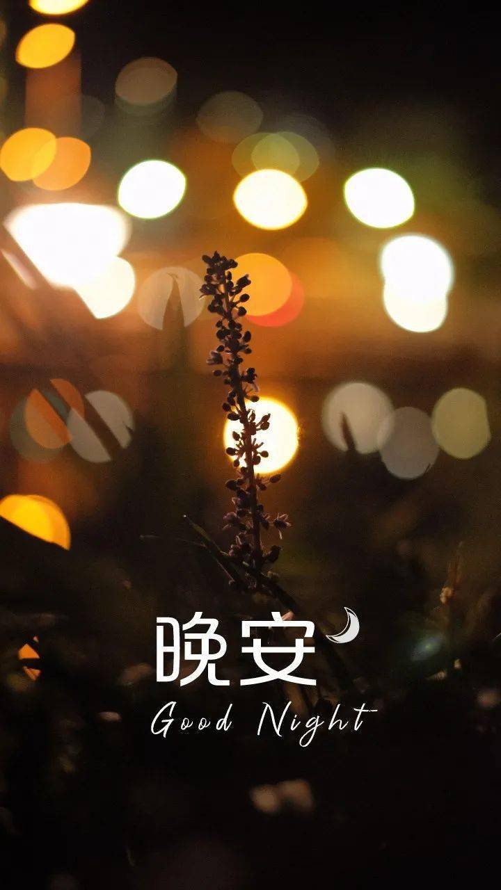 63a906ce80c143a19e12b8475968d13b.jpeg