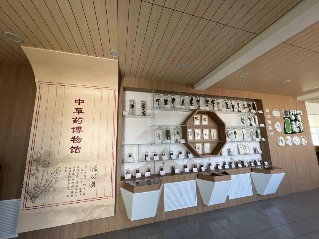 "中草药博物馆"亮相京城中小学!