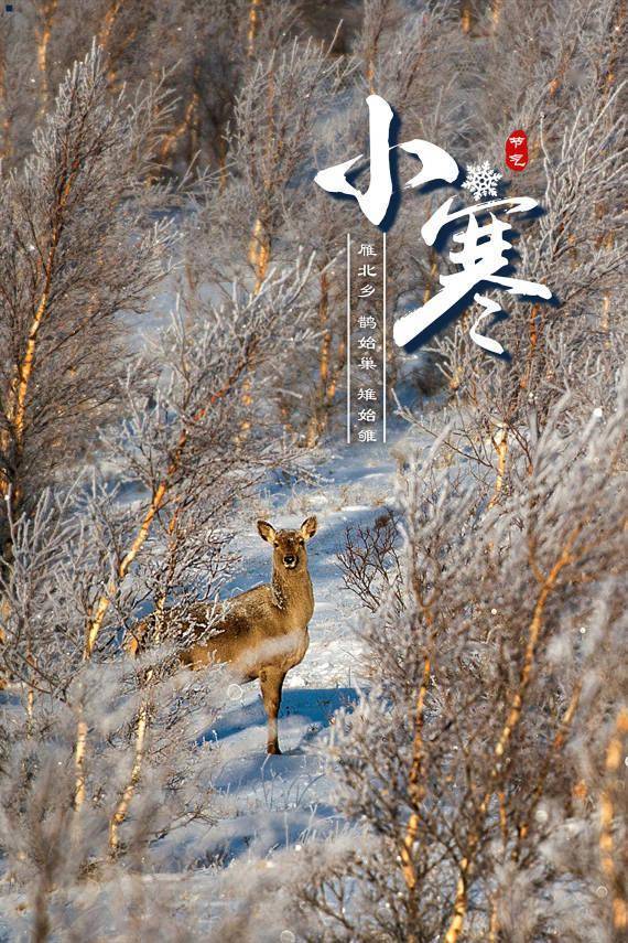 瞿明斌|报节气|虽犹寒 春不远