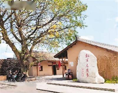 图为南部县长坪山红军纪念馆一角.