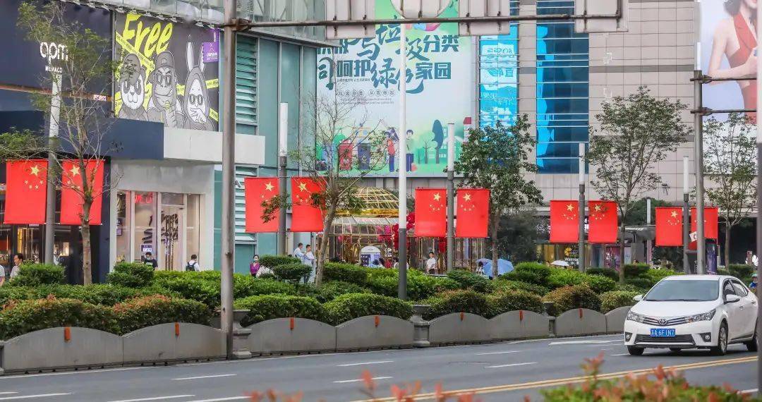 看这里!_规定_南京_五星红旗