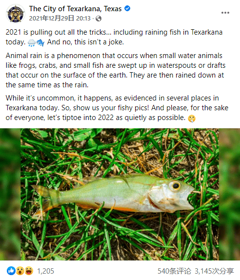 美国一州下 鱼雨 上万鱼尸狂砸网友齐分享 天上会掉馅饼原来是真的 特克萨卡纳 龙卷 帖子