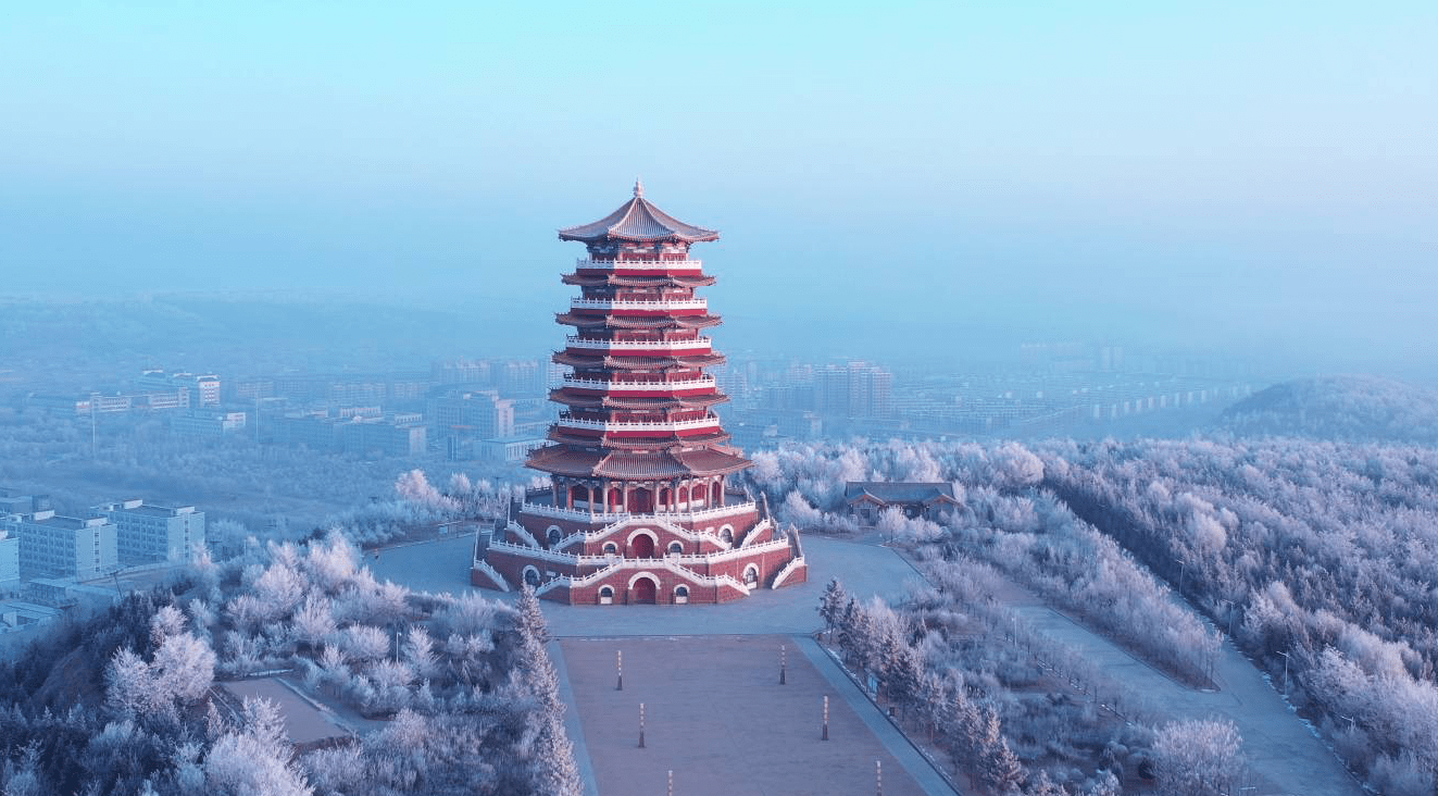 组图宁夏固原市出现雾凇景观美不胜收