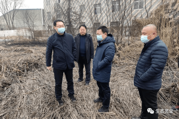 【环保督察】灵宝市领导带队实地调研环保督察交办件办理情况_故县镇