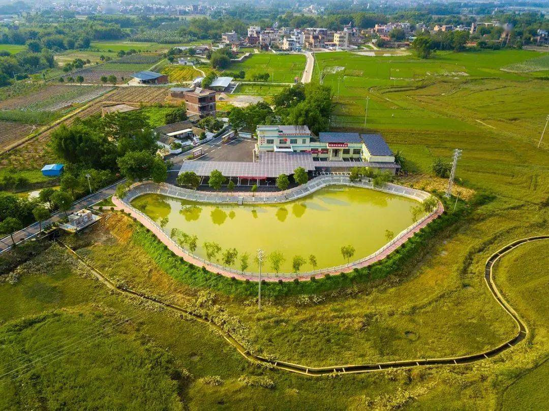 视频:惠州头条app沿着宽敞的柏油村道进入博罗县麻陂镇洪湖村村里的