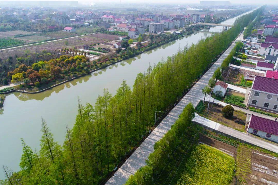 评论| 让美丽生态岛花开长盛_崇明_图景_景观