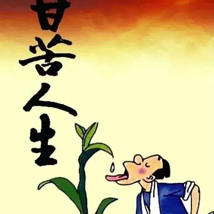 人生无悔的经典句子