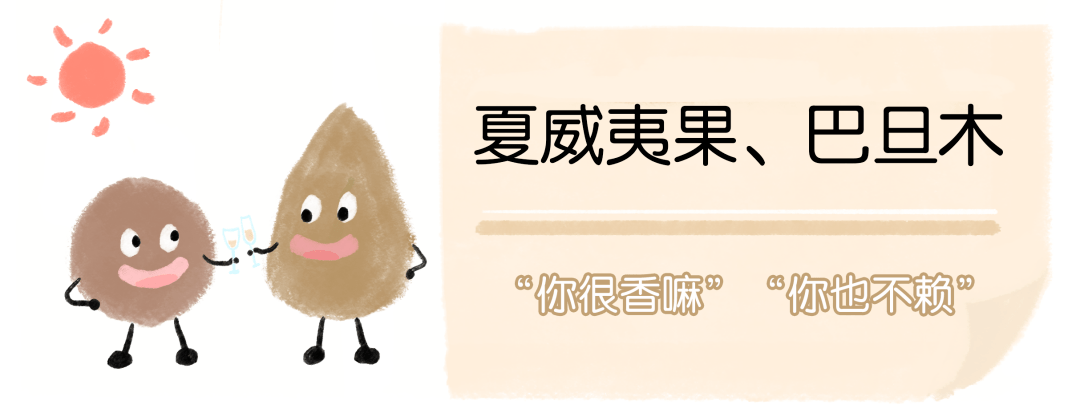 海苔|年货必备小零食!回购10次都不止,真的太太太好吃了!