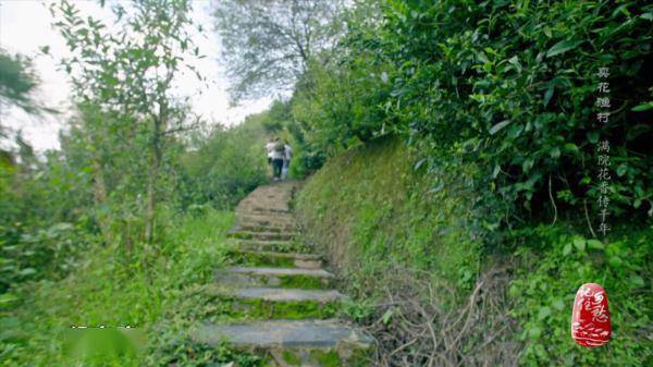 盆景|这里没有鱼，却被叫“渔村”？