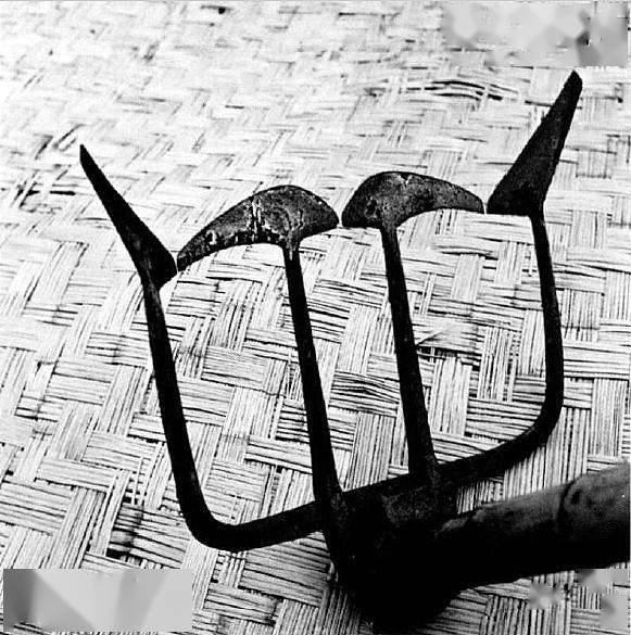 调查|张祖道：有社会学自觉的摄影家