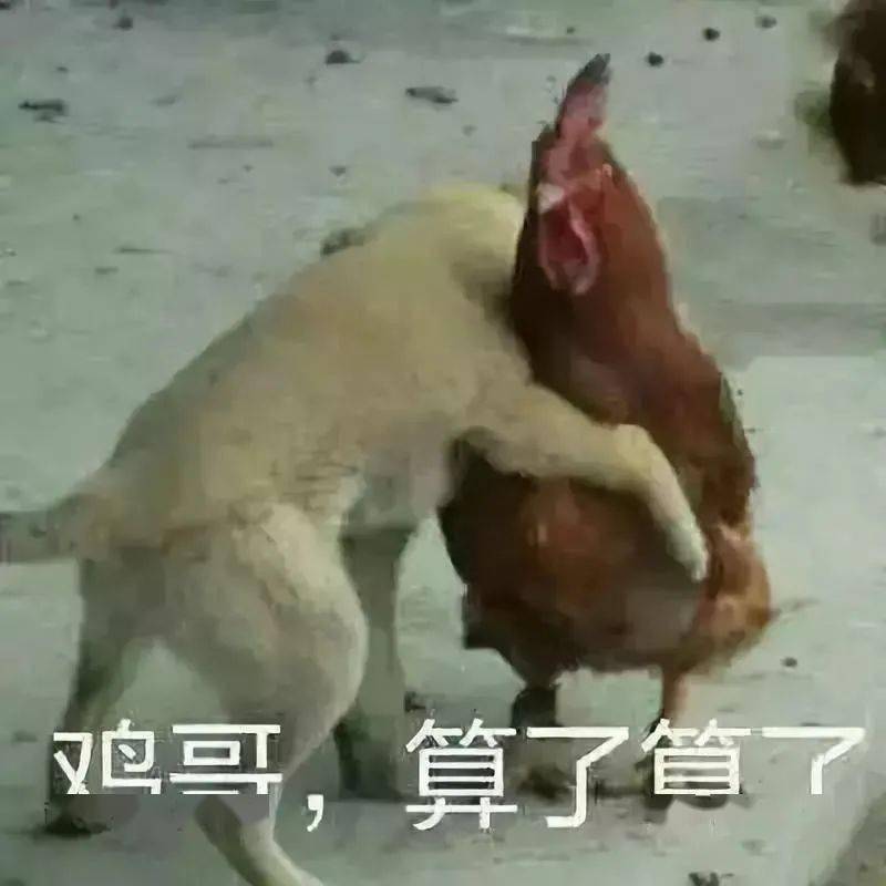特征|聊天接这句话，99%的人都得气炸