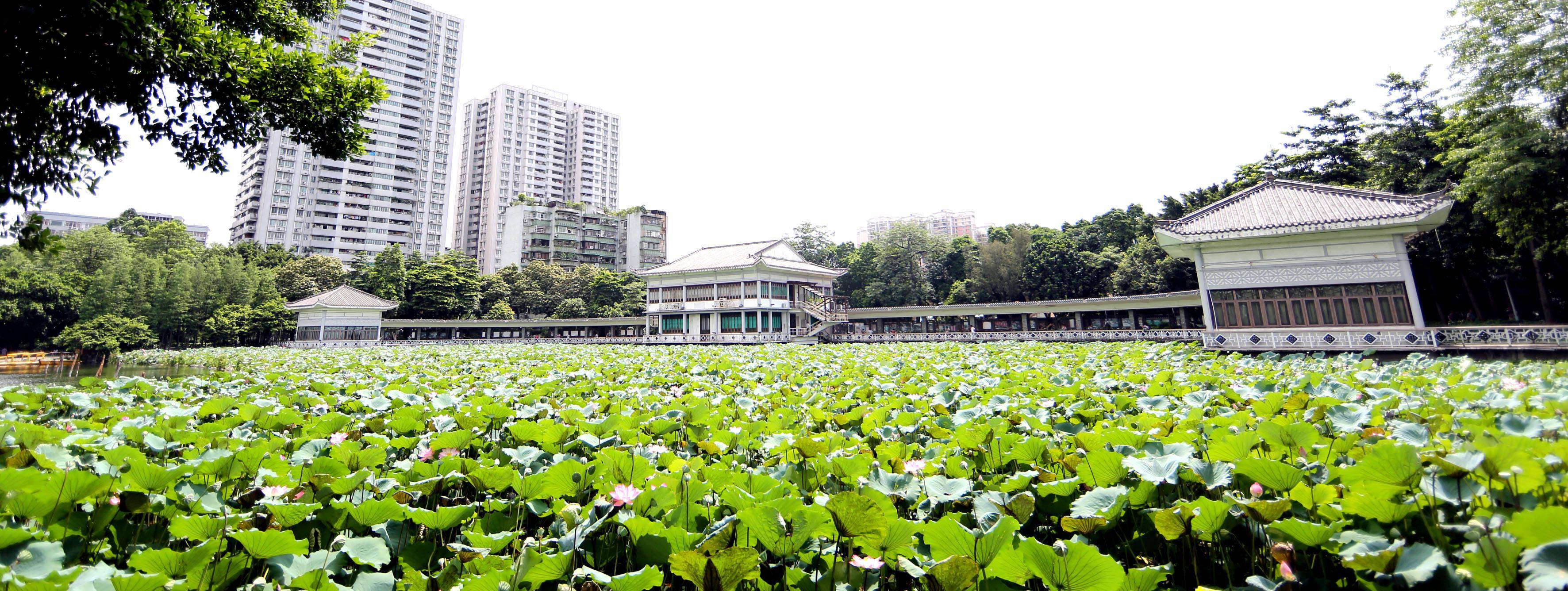 读懂广州·解密|海山仙馆刻印几何原本,万木草堂藏书迷住学子_潘仕成