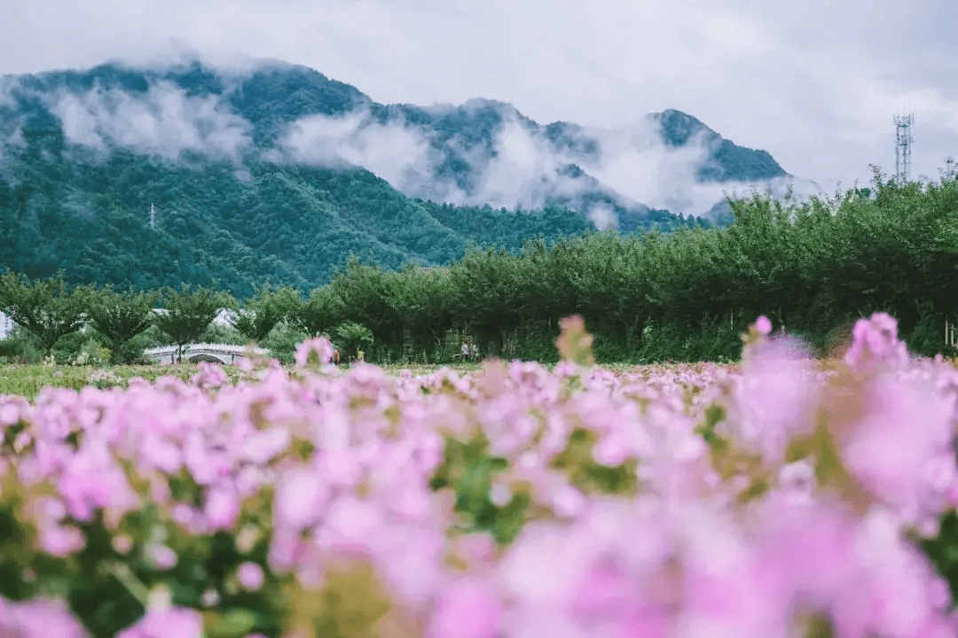 旧址|过目难忘！让这些治愈系美景陪您来一场“灵魂远足”!