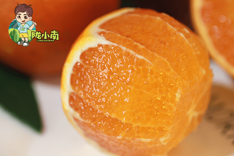 四川塔罗科血橙上市啦!果实饱满 肉嫩多汁 !快来尝尝~_自然_馈赠_滑嫩