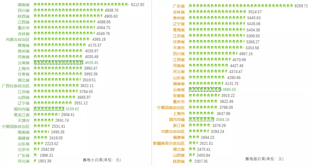 PP电子官方网2021年云南省白菜财产发揭示状剖析(图18)