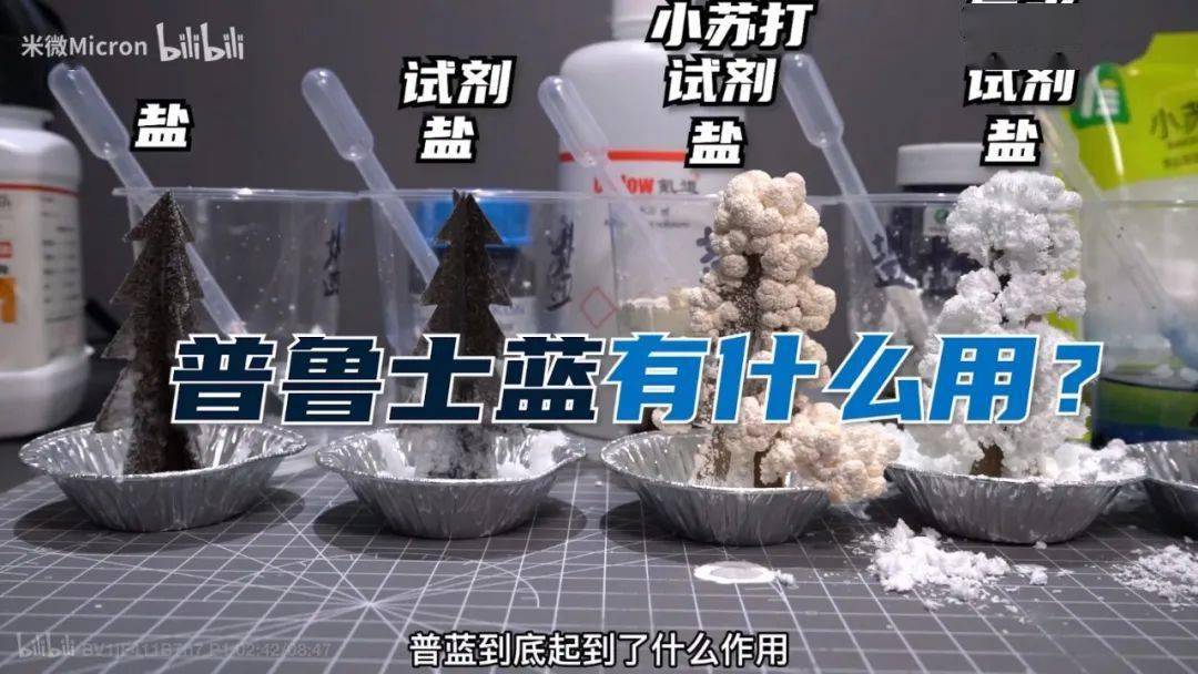 实验|500W网友围观！90后学霸猜出这玩意的配方后，造了一棵超大号