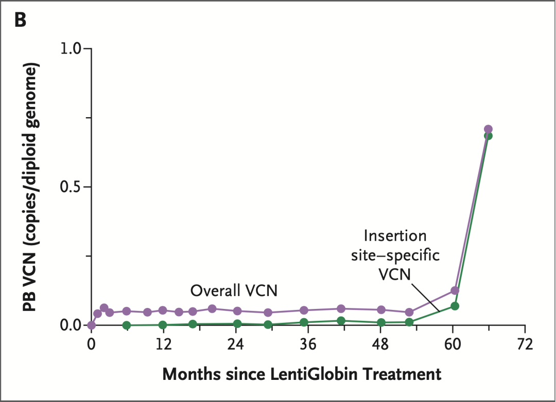 外周血|NEJM：基因治疗后确诊白血病，究竟是怎么回事儿？