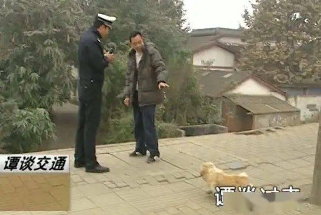 谭警官|这档停播4年的普法真人秀，凭什么是“国内最好看的综艺节目”？