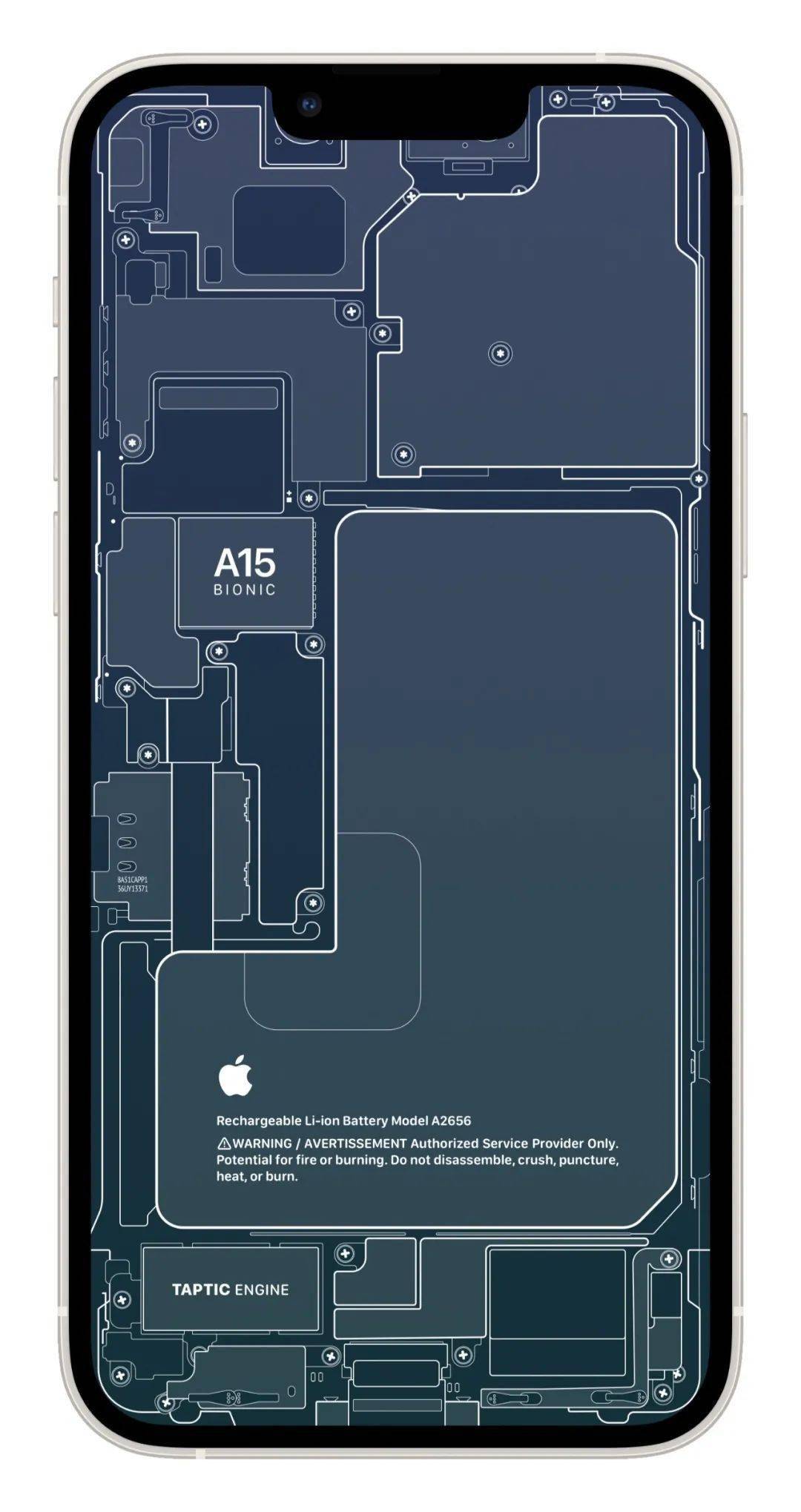 苹果12内部结构壁纸图片
