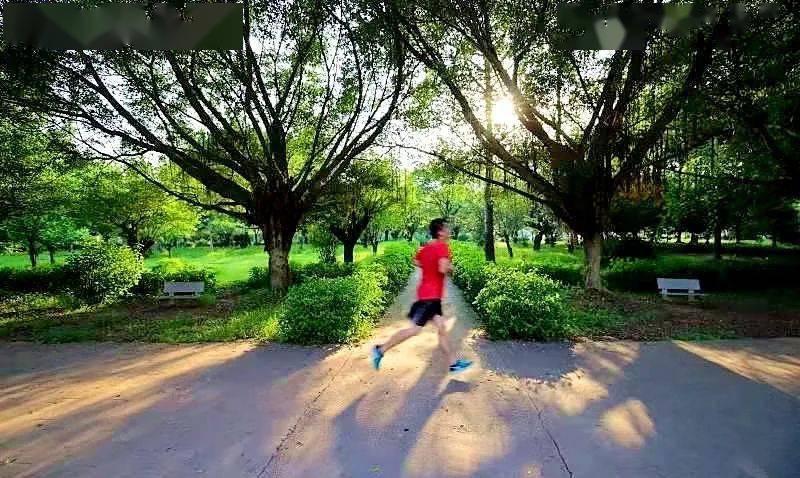 美丽罗定罗定市政广场环境优美绿意盎然