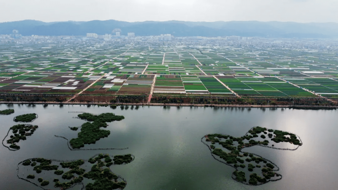 通海县|云南治湖：到底是卡在钱上，还是人上？