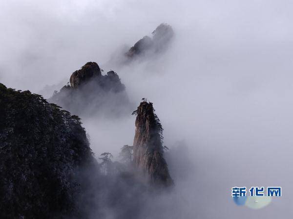 姚建军|冬日黄山 玉树琼枝云海如画