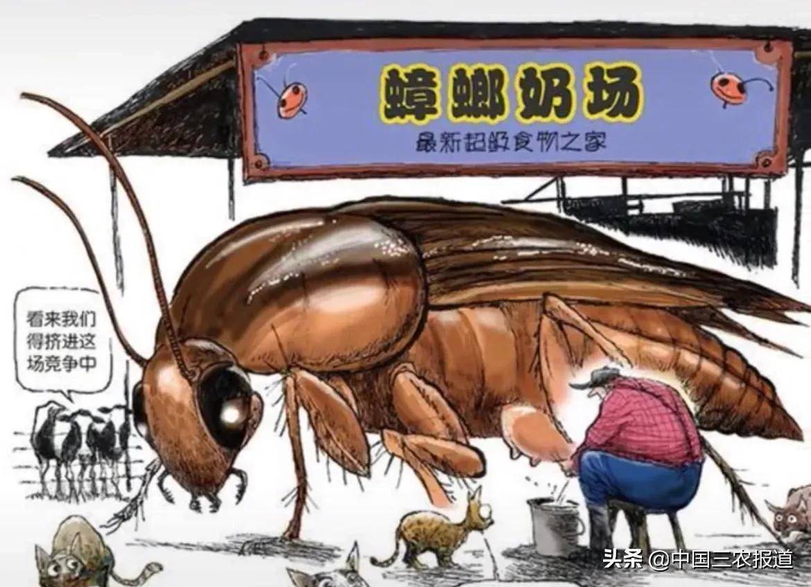别喝牛奶了，来杯蟑螂奶吧
