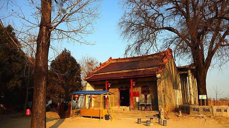 淮阳四通镇境内有座古寺古寺内有两棵奇特的古树