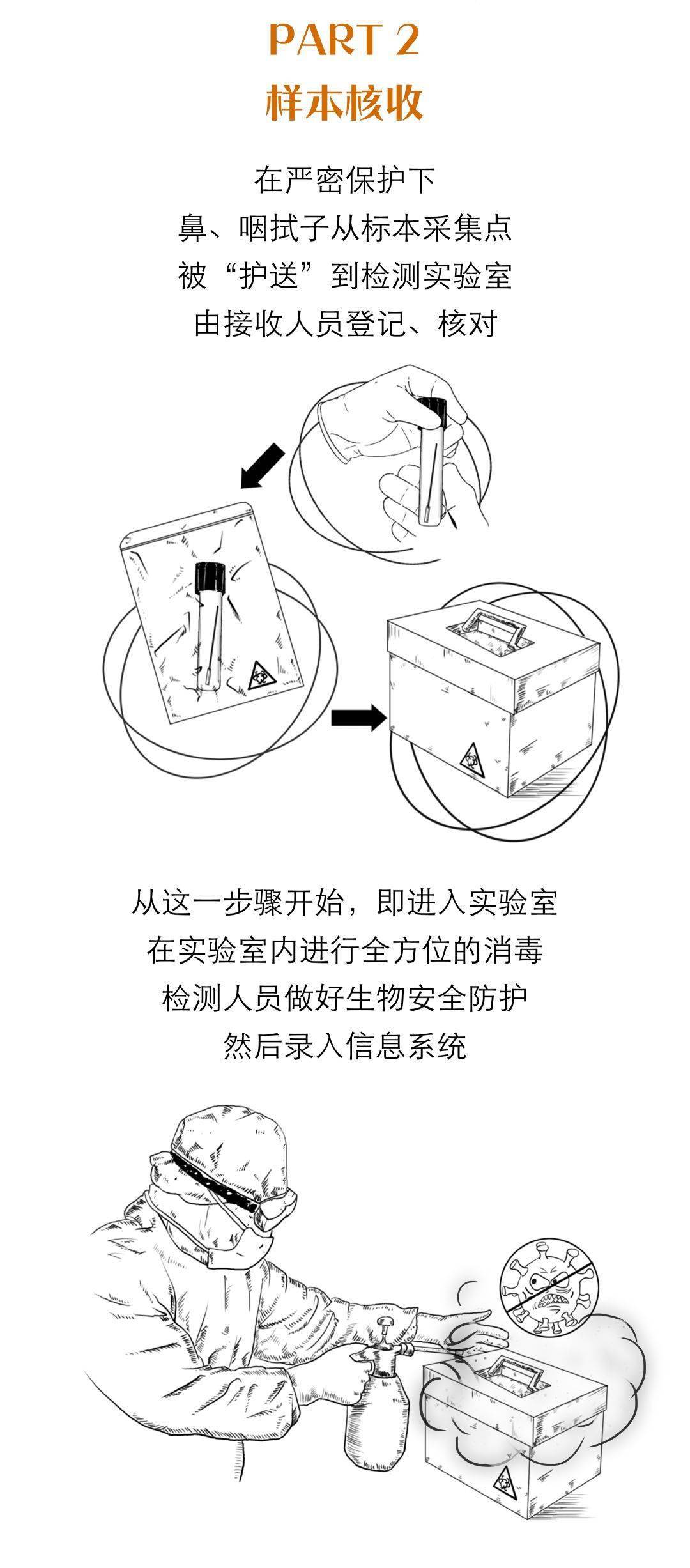 来源|核酸检测都有哪些流程？为什么不能马上出结果？