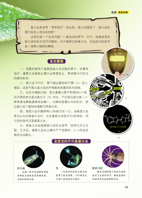 期刊|【期刊】培养“理科”兴趣，为孩子打开认识“科学”的一道大门
