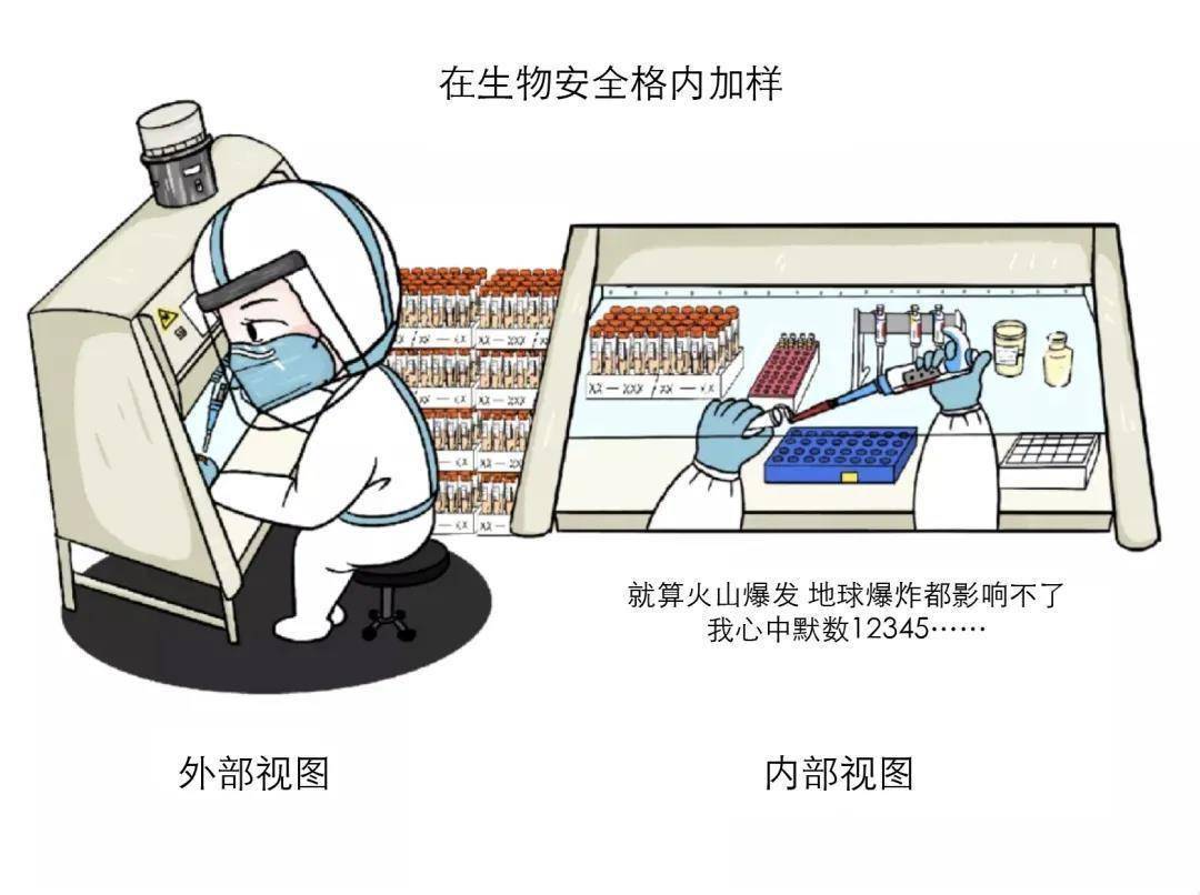 疫情|别担心！为了你的绿码，所有人都在“拼命”