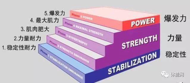其私人教练证书的重点是opt(optimum performance training),最佳运动