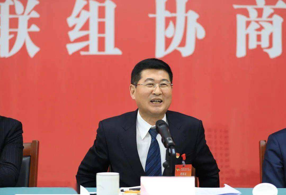 陈一清参加区政协三届一次会议联组协商_发展_大足_企业