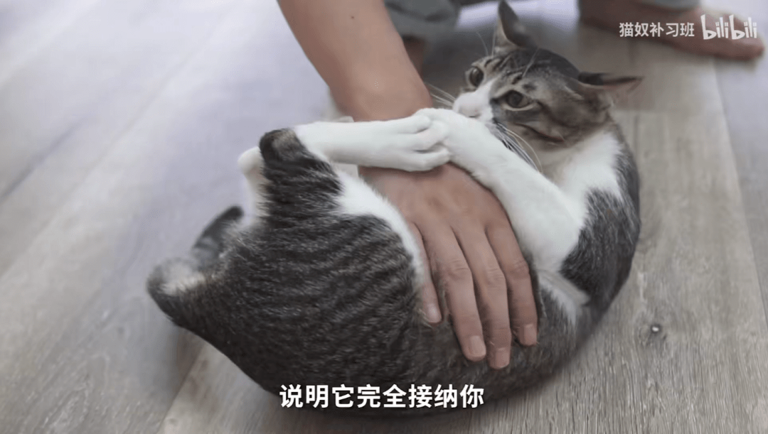 75a2d3892b8846688d1ef5fa1caa6f93.png