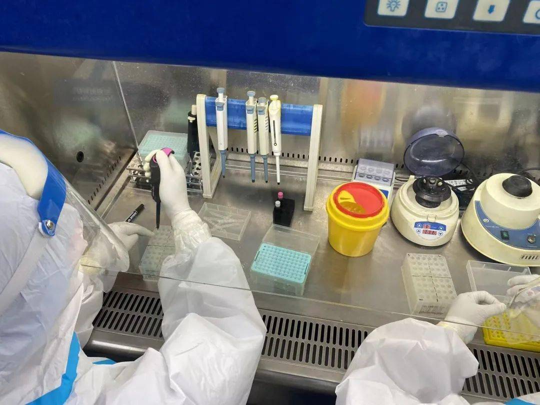 直对"疫"面——走进长武县人民医院pcr实验室最美检验卫士_检测_工作