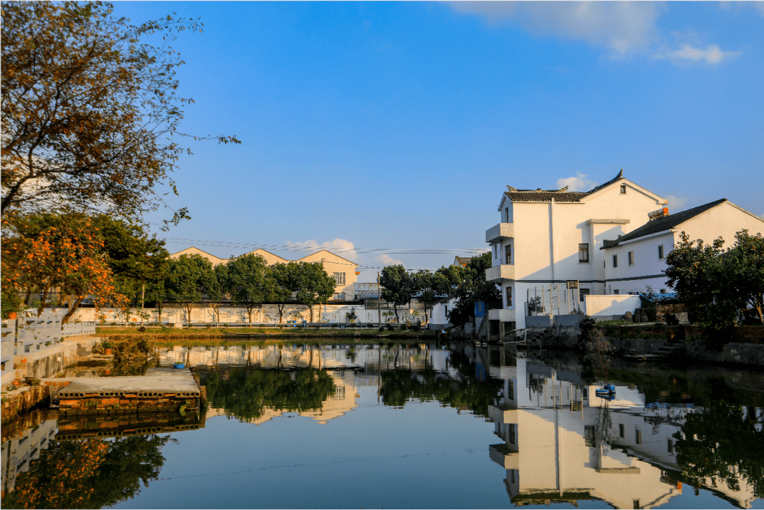 第三批农村人居环境整治典型范例展示江阴市顾山镇创新数字化积分管理