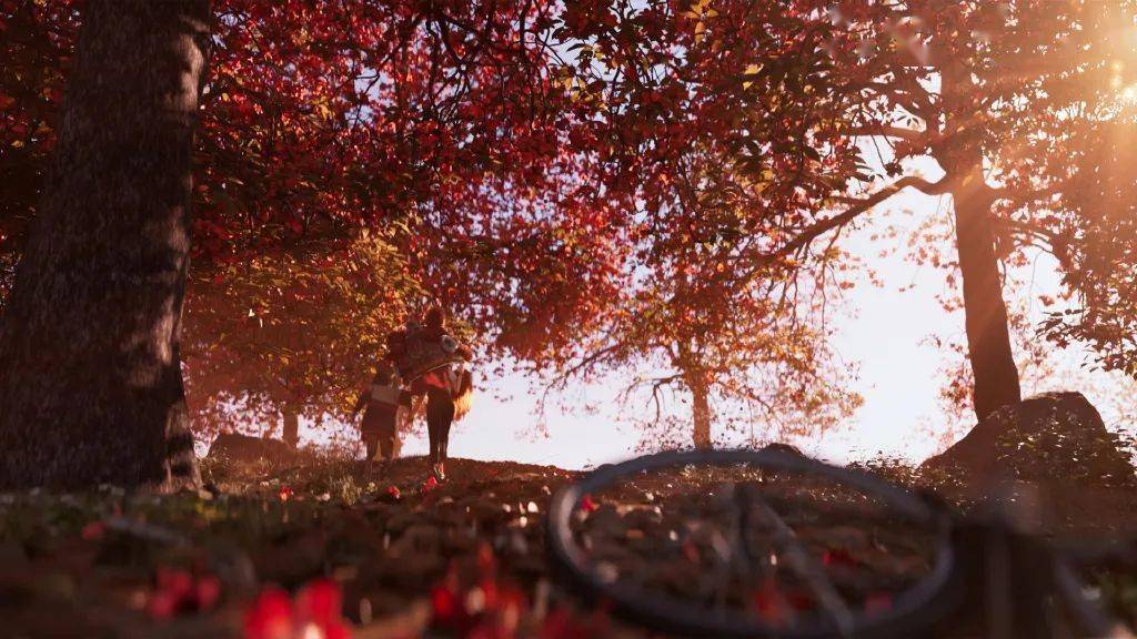 少年|豆瓣8.3分，票房2亿多，《雄狮少年》没能逆袭！这家公司却成为赢家