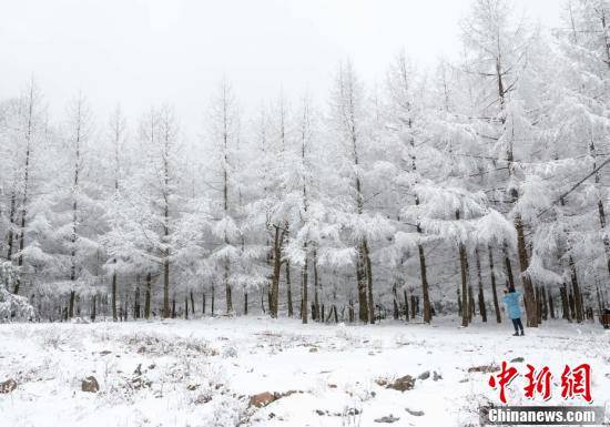 后坪|湖北保康：高山雪景宛如童话世界