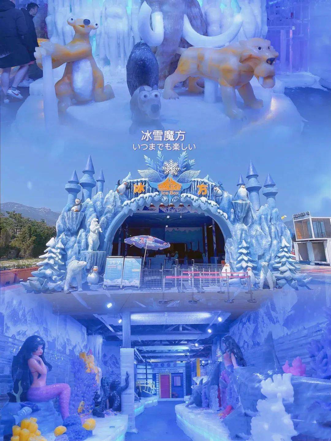主题打造的室内冰雪游乐世界,「青岛冰雪魔方乐园」全部采用真冰真雪