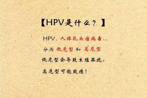 hpv病毒是一種雙鏈dna病毒,可以感染人的皮膚或者黏膜.