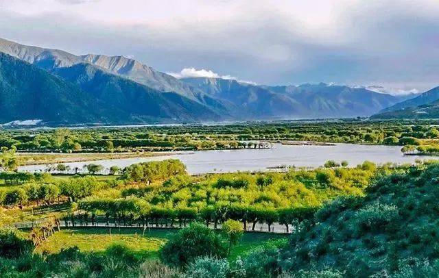 高速公路并不多,过路费主要产生在四川段,雅安53元,飞仙关10元,脚基坪