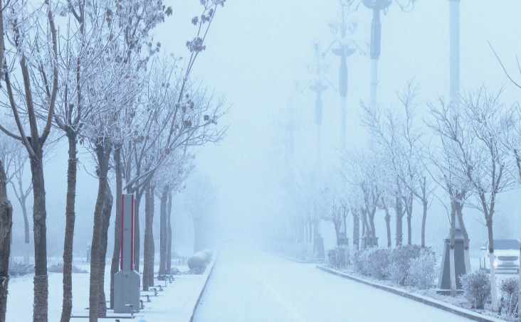 绝美！雪后额济纳现雾凇奇观，又美成了童话世界……