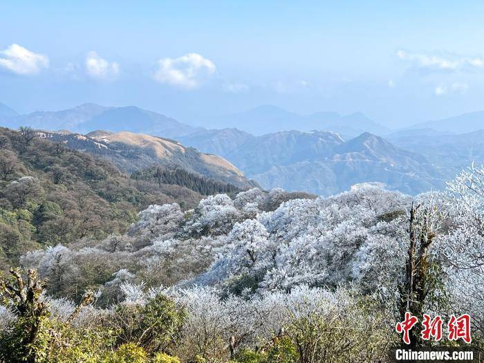 杆洞乡|广西北部深山出现一片彩色雪原