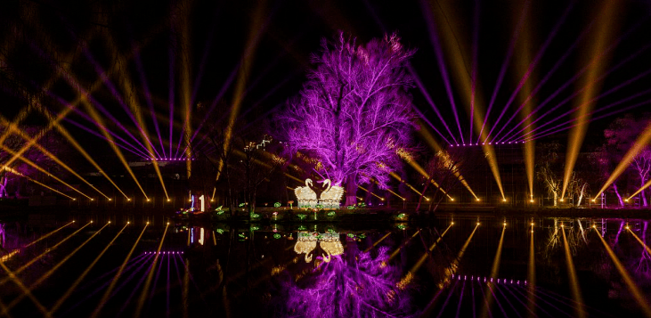 灯光秀视觉震撼效果 fc2ba541806849dab25b0e656b6c00f9.png